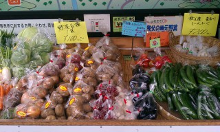 野菜の直売 野菜の直売