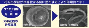 花粉分解図